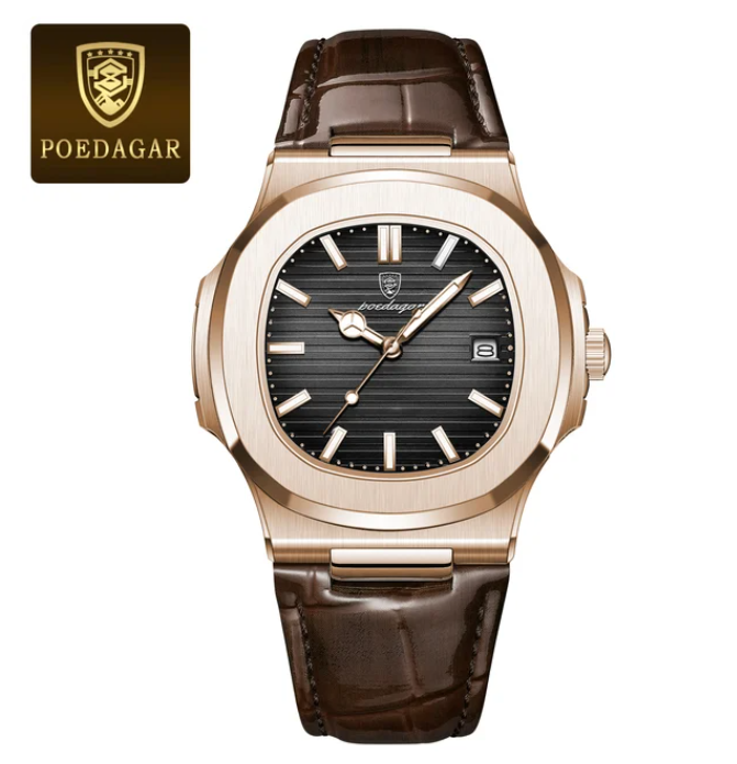 POEDAGAR Luxury Watch Elysian