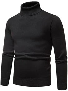 Homme Men Solid Turtleneck Thermal Lined Sweater