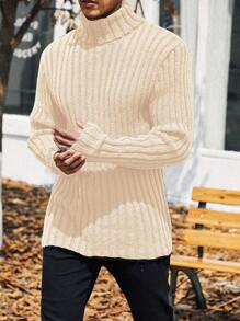 Homme Men Plus Solid Turtleneck Ribbed Knit Sweater