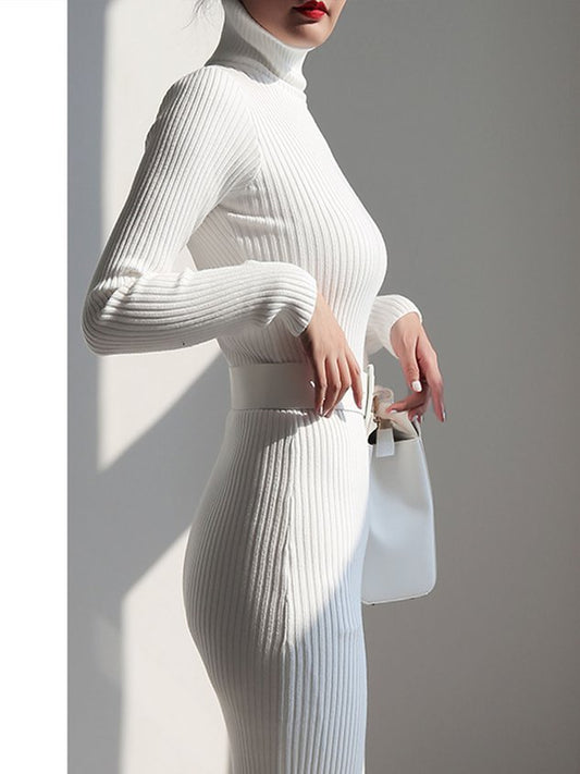 Elegant Turtleneck Sweater Dress