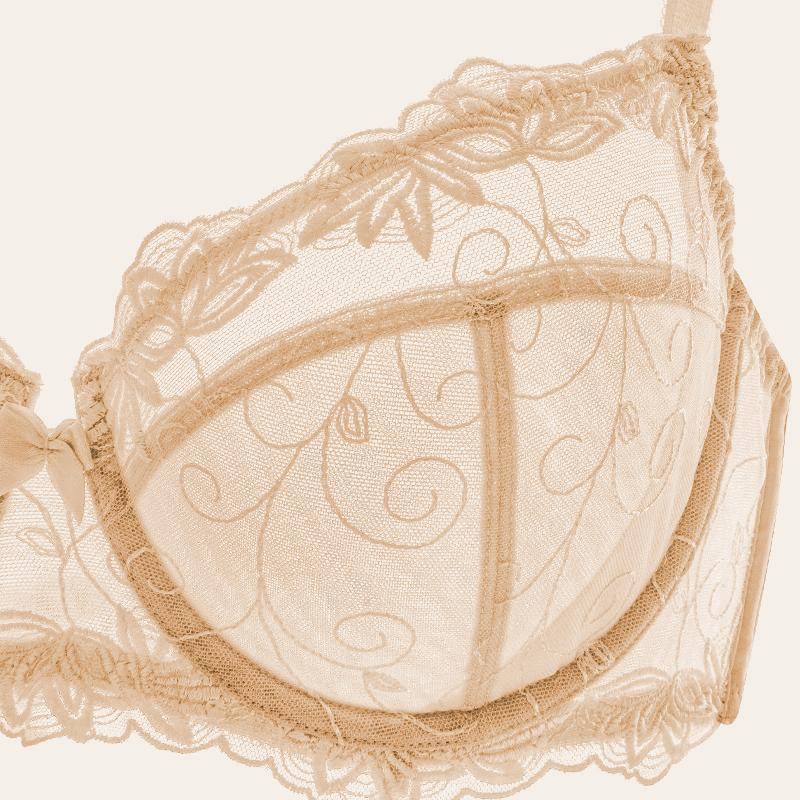 Nude See Through Bra Embroidered Unlined Sexy Lace Underwire Bra Plus Size